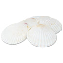 Baking Shell - Chefwareessentials.com